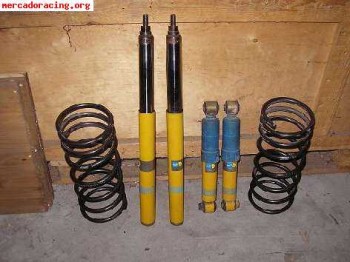  suspension blistein con eibach saxo, ax o 106