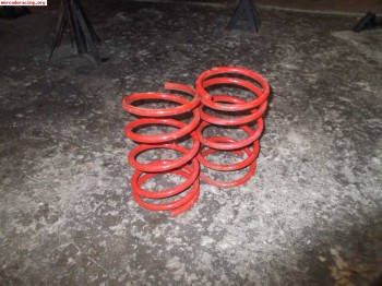 Muelles selex para 205