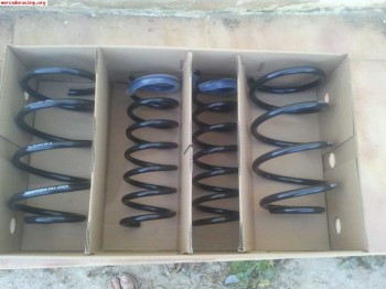 Vendo muelles eibach focus ii