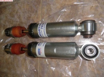 Amortiguación trasera pts grupo a