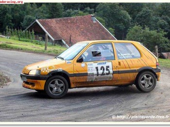 Vidrios de policarbonato para 106