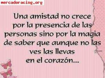 Carcasas de cuneteros rs cosworth