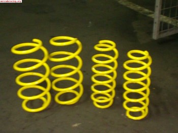 Muelles rebajados seat ibiza 6l