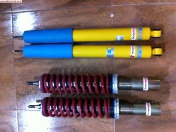 Suspencion blistein tecnoshok de tierra para renault