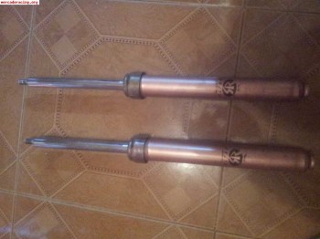 Amortiguadorea kayaba para saxo,ax o 106