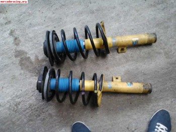 Bilstein bástago gordo