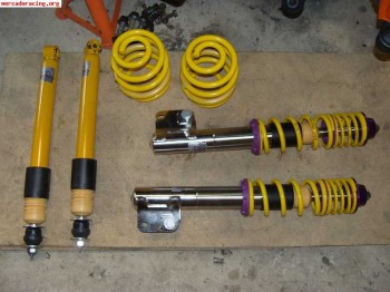 Suspension roscada clio sport 172 kw variante 2