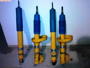   blistein clio para 1.5 dci 80 