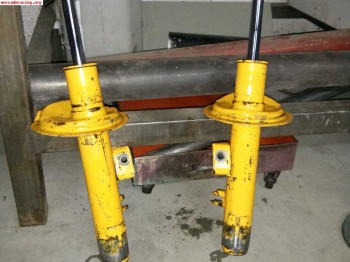 Koni amarillos 205/309