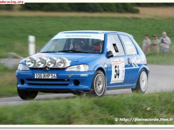 Vidrios policarbonato para 106 f 2000