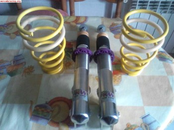 Suspensión kw v1 inox mégane coupé 2.0 16v ide