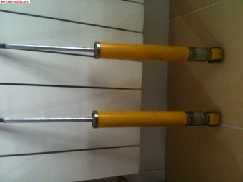 Amortiguadores traseros clio sport