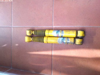 Suspensión trasera lip sport para grupo psa