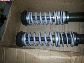 Suspension roscada selex gold  para clio sport clio16v/willi