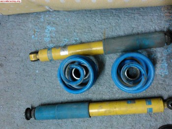Bilstein tras. clio sport