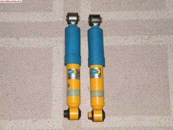 Aqmortiguadores blisten rally traseros