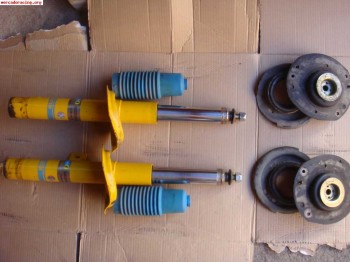 Suspension bilstein psa bastago gordo