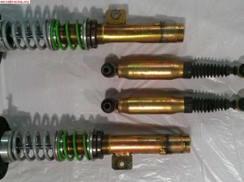 Suspensiones roscadas selex gama gold para 206,306,205,zx...