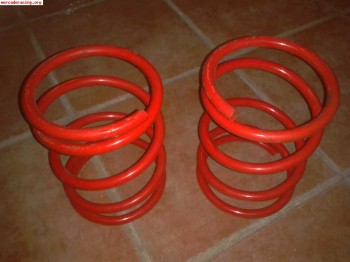 Muelles pts 205/309 gti nuevos