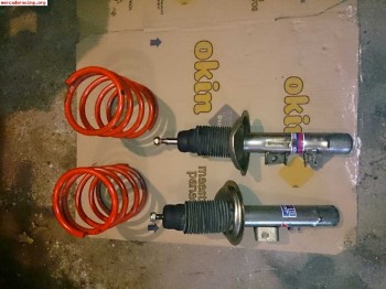 Suspensión pts para 205-309 gti 206, zx...