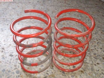 Muelles omp para citroen zx/ peugeot 306