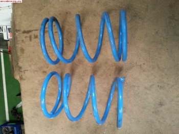 Muelles pts 205 rallye