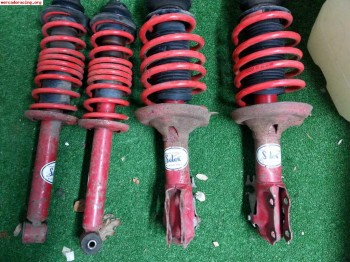 Amortiguadores selex con muelles cobra