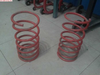 Muelles selex de citroen zx