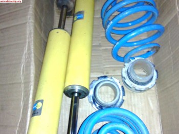 Suspensión bilstein clio sport