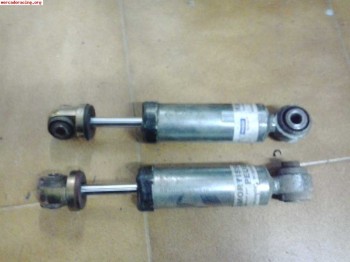 Amortiguadores pts traseros gr.a citroen saxo / peugeot 106