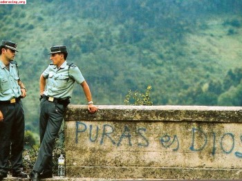 Aleron clio ragnotti y piña clio sport 2