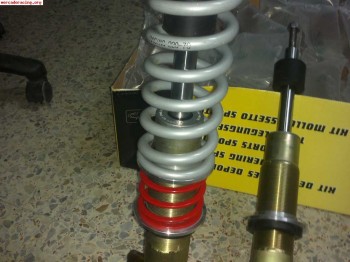 Suspension de tierra gsi a