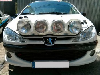 Parrilla completa peugeot 206