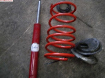 Amortiguadores selex para saxo o 106