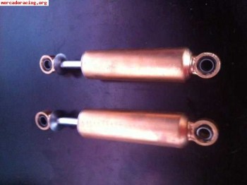 Suspension trasera trofeo saxo