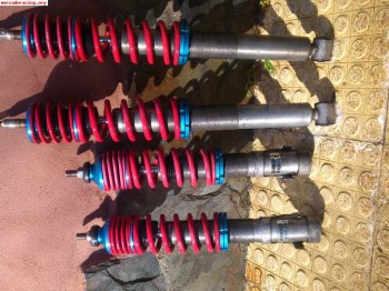 Roscada v-maxx golf 3