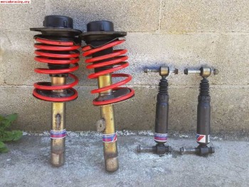 Amortiguacion pts 206