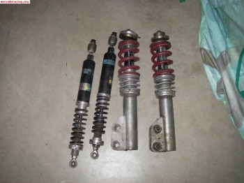 Suspensión bilstein de la copa clio circuito