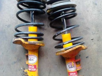 Suspensiones selex delantera 205
