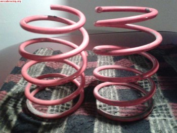 Muelles cortos para bmw e36