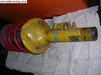 Suspensión bilstein grn para 205/309