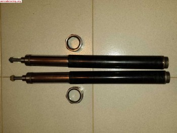 Suspension tecnoshock para saxo/106/ax