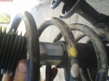 Suspension bastago gordo