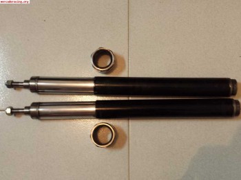 Suspension tecnoshock para saxo/106/ax