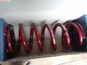 Se venden muelles eibach