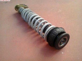 Suspension selex gold clio 16v williams