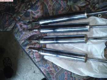 Cargas suspension delanteras clio sport del trofeo de rallys