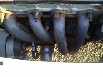 Colectores y linea inox 205 rally