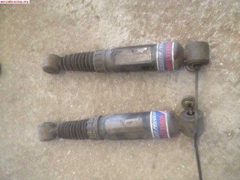 Suspension pta trasera saxo - 106