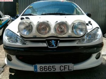Parrilla xenon completa peugeot 206